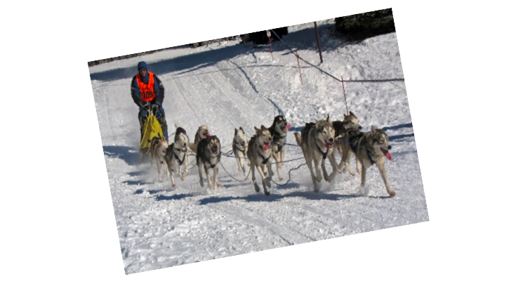 Hundekjøring på Aas gård 16. februar