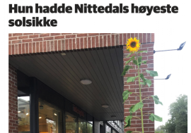 Nittedal Matfestival